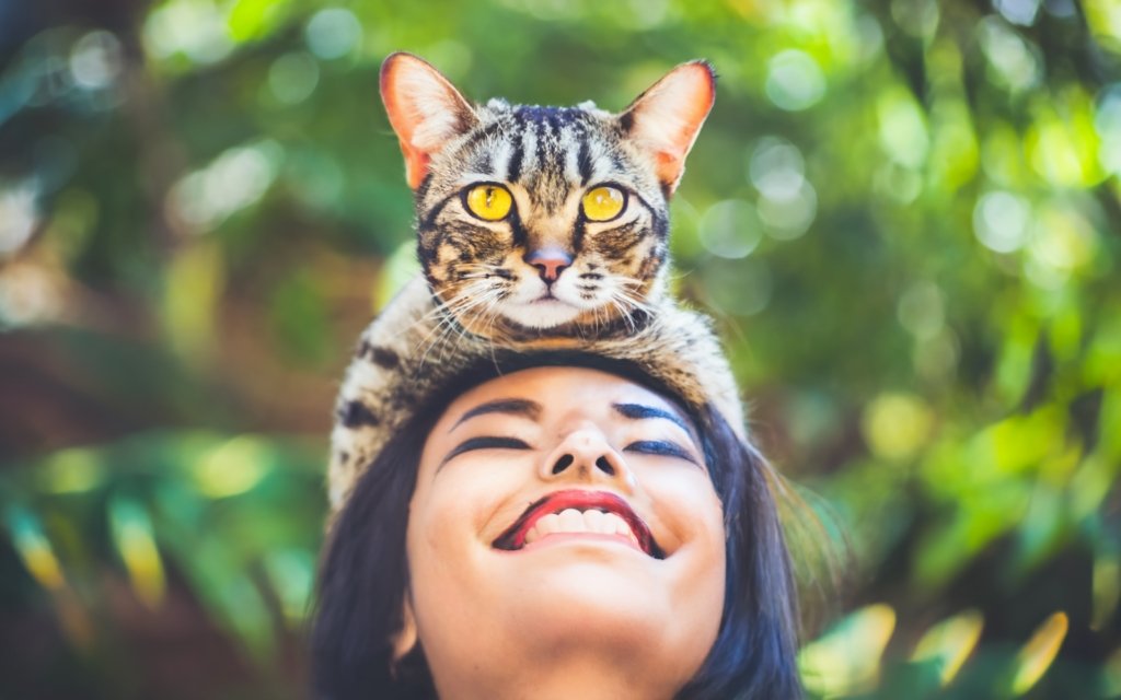 Why Does My Cat Sleep Above My Head (And How to Stop It)